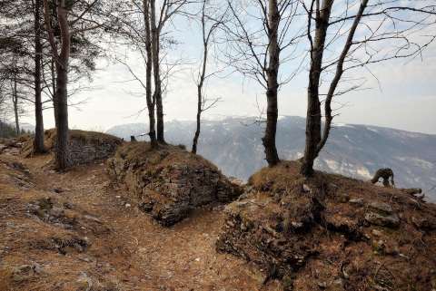 TRINCEE E CAMMINAMENTI