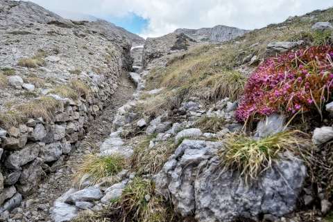 TRINCEE E CAMMINAMENTI