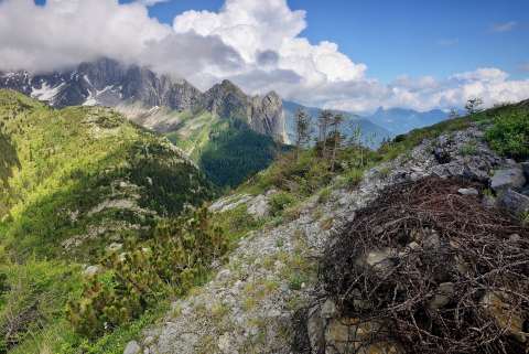 TRINCEE E CAMMINAMENTI